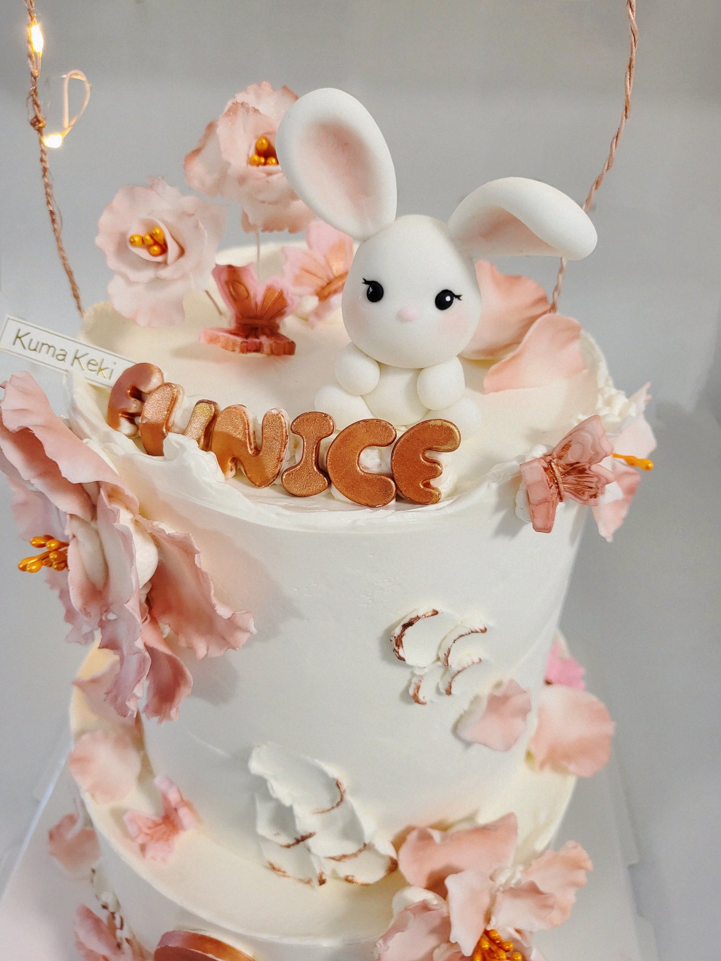 BUNNY?! HERE
